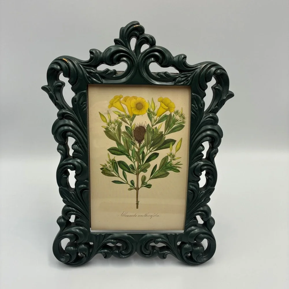 Vintage Style Ornate Forest Green Baroque Picture Frame Botanical Floral Print